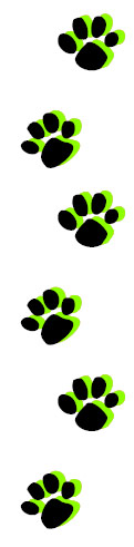 paws-tall